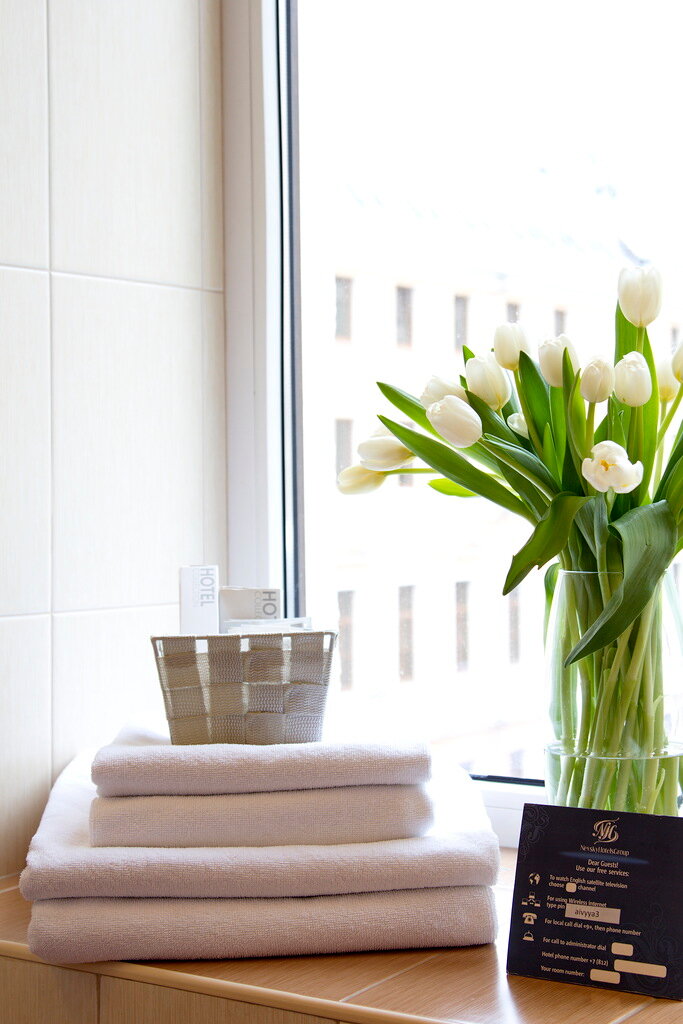 Гостиница Невский Бриз Санкт-Петербург-8